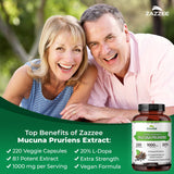 Zazzee Extracto 8:1 de Mucuna Pruriens, alto contenido de L-Dopa