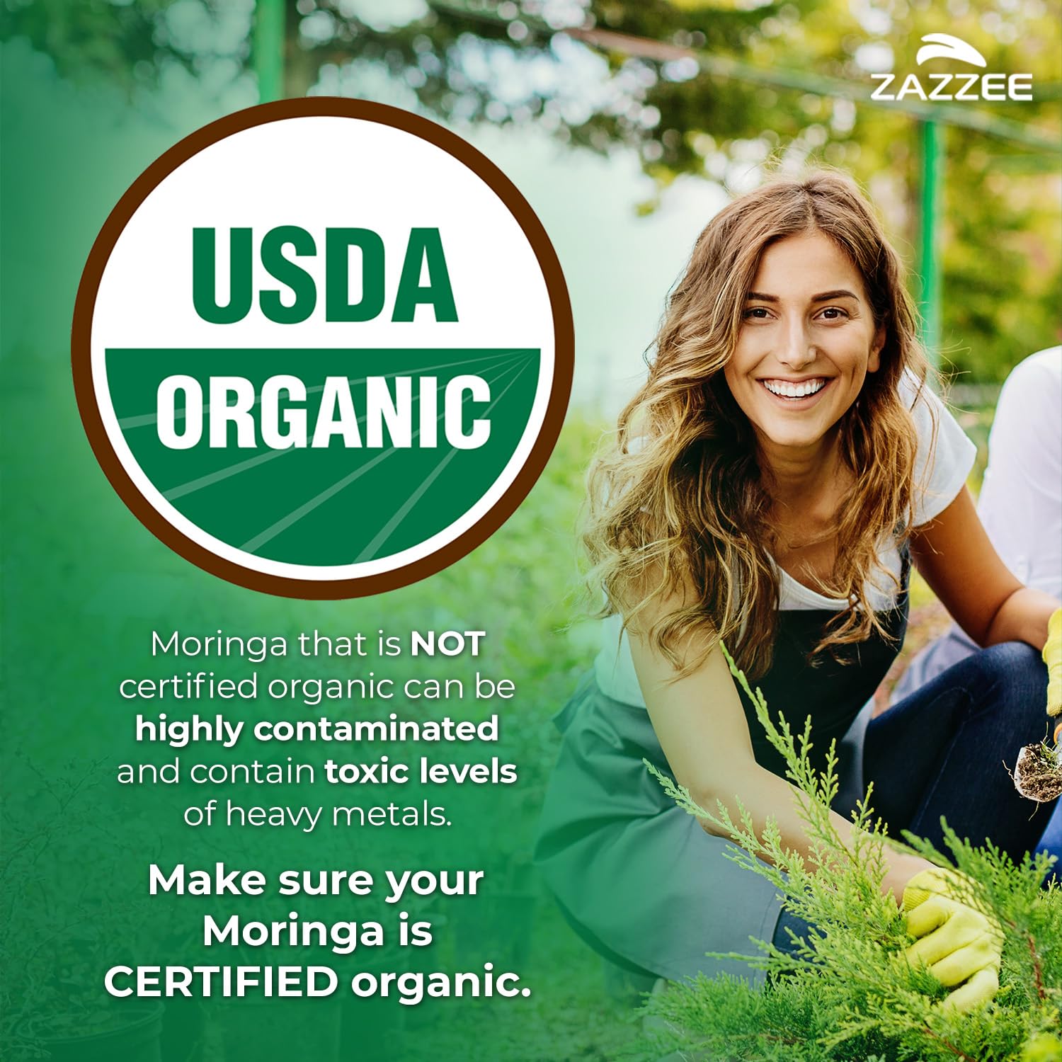 Zazzee Moringa 20:1: extracto concentrado para dosis diaria.