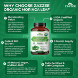 Zazzee Moringa extracto 20:1: potencia concentrada para dosis diaria.