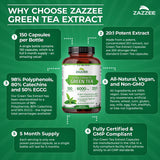 Zazzee 98% polifenoles: perfil antioxidante concentrado.