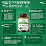 Zazzee Proceso de control de calidad para seguridad y pureza.