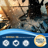 Uso diario de Zebora Omega3, dosis rápida y práctica