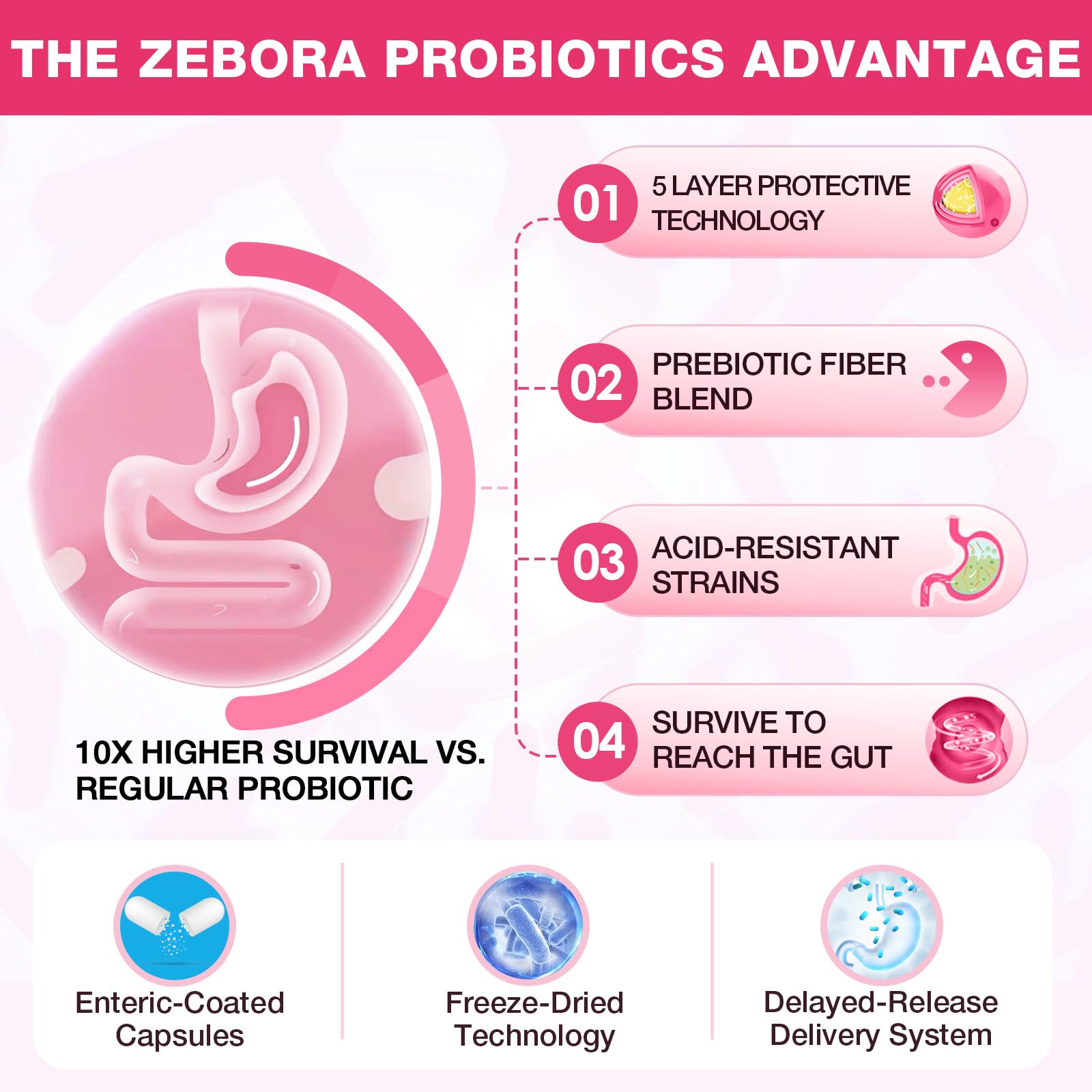 ZEBORA probióticos con vitamina C para defensa natural