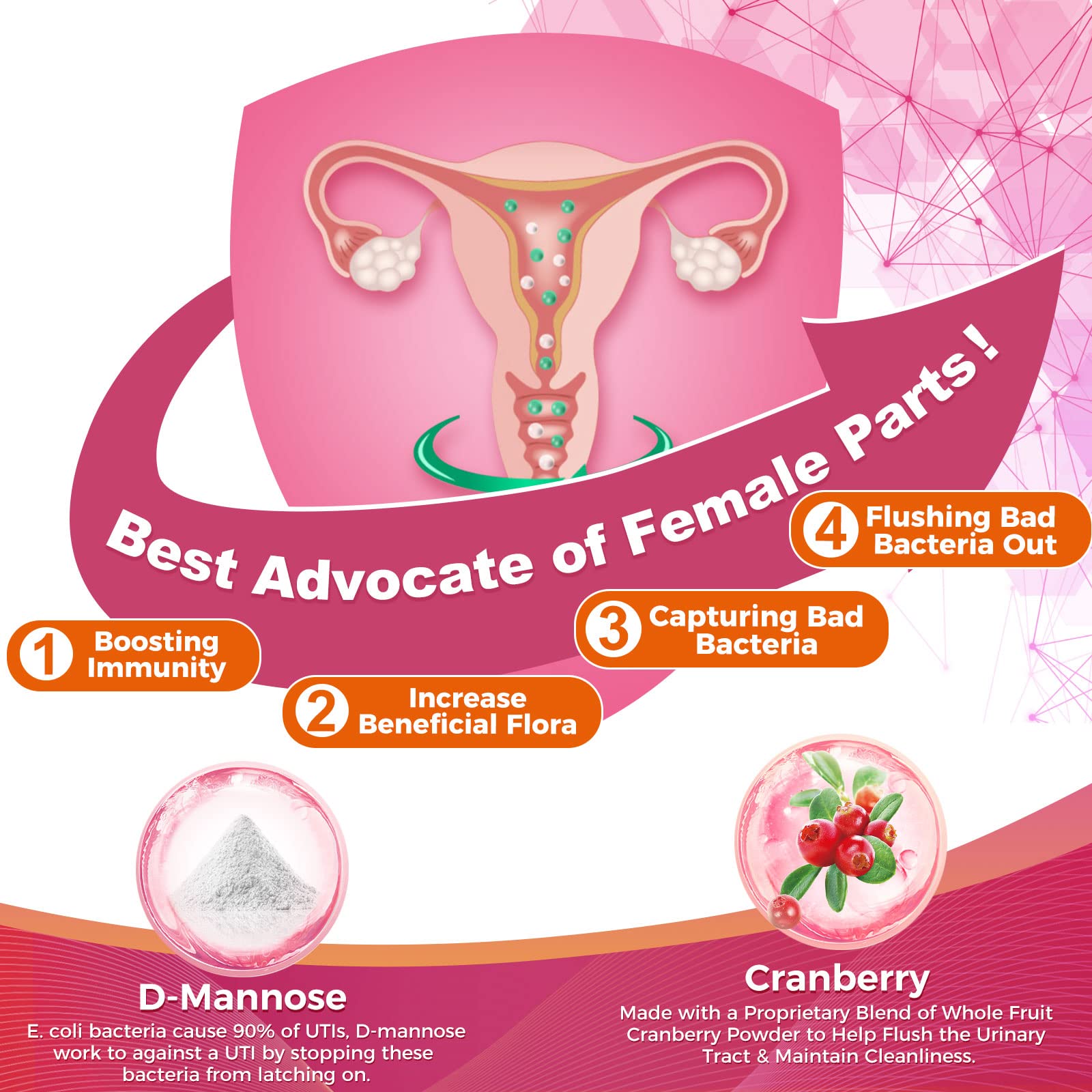ZEBORA Probiotics: estable en estante para uso diario