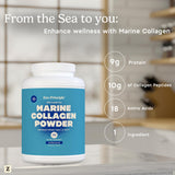Mezcla rápida de Zen Principle Collagen Marino en batidos matutinos para apoyo general.