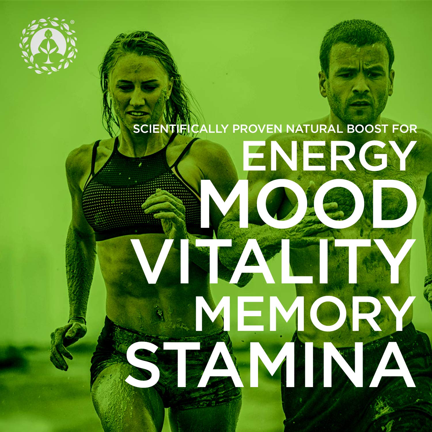 Maca polvo para smoothies cremosos, Zen Spirit, ayuda para batidos nutritivos.