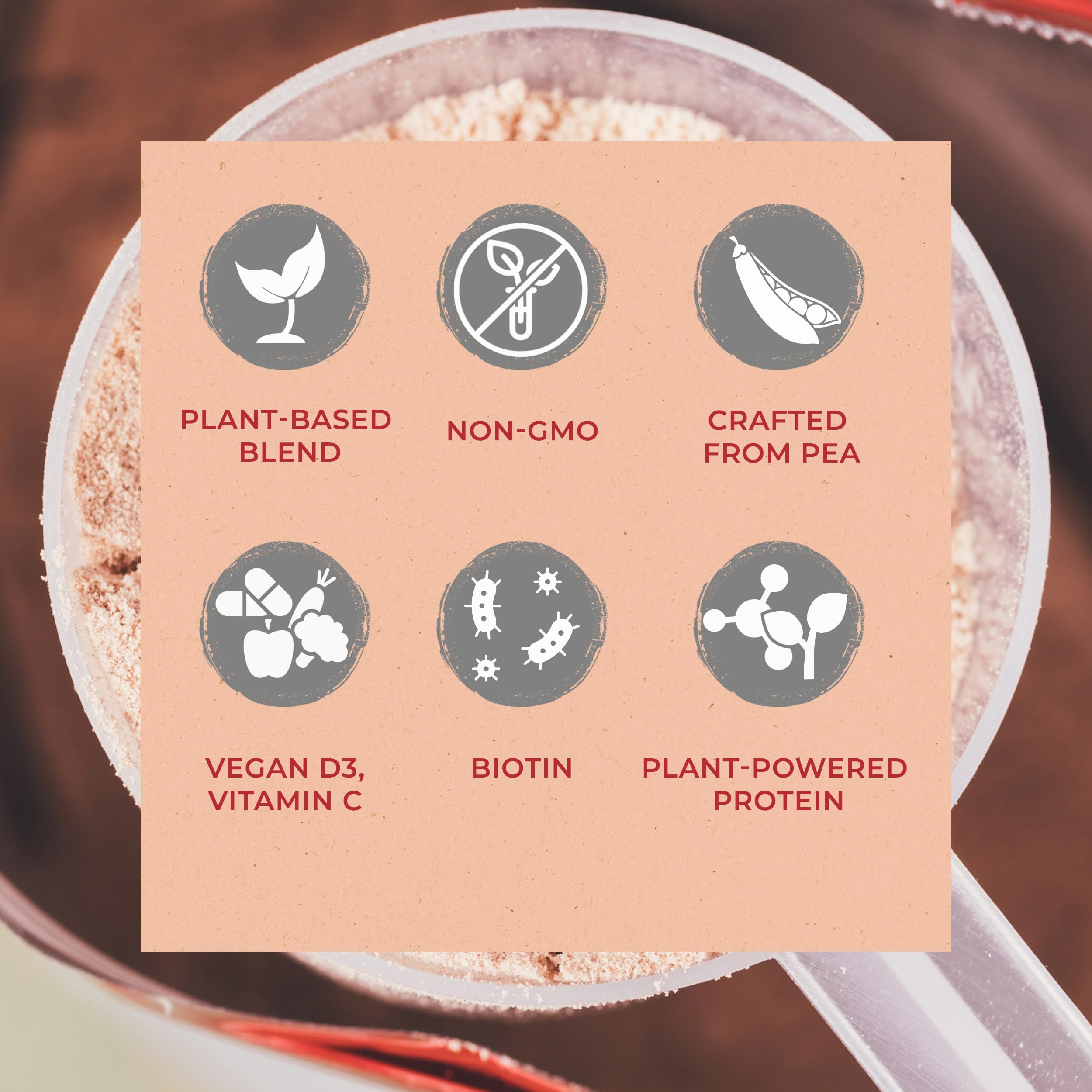 zenbodi Fuel Vegan Protein con vitamina D3 vegana.