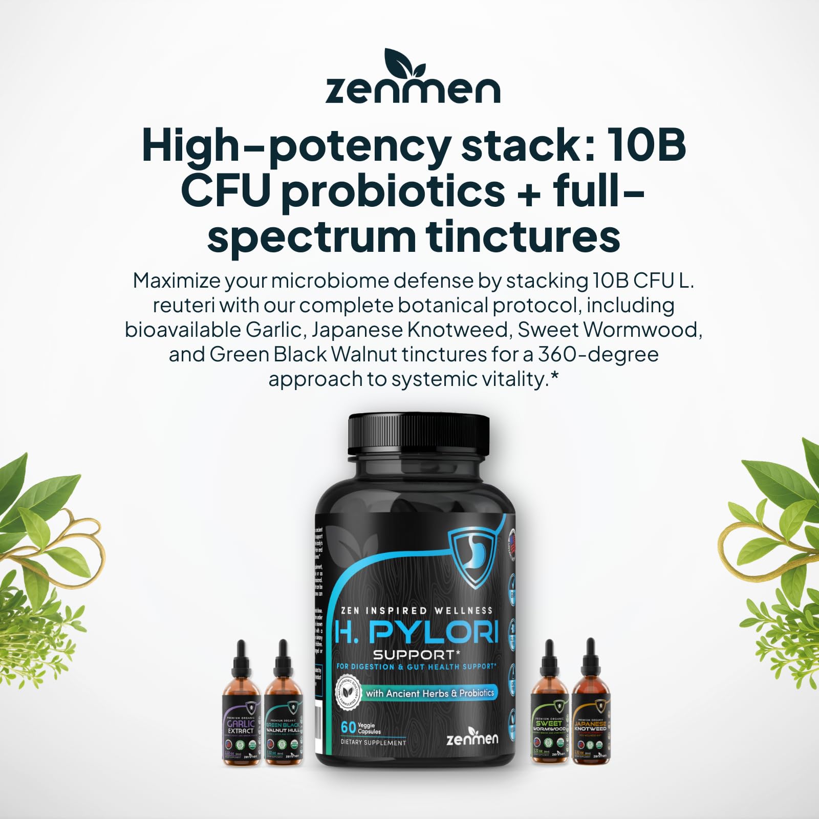 Zenmen H. Pylori Support, certificado GMP y garantía de calidad