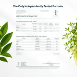 Zenmen H. Pylori Support, zinc y nutrientes para la salud estomacal