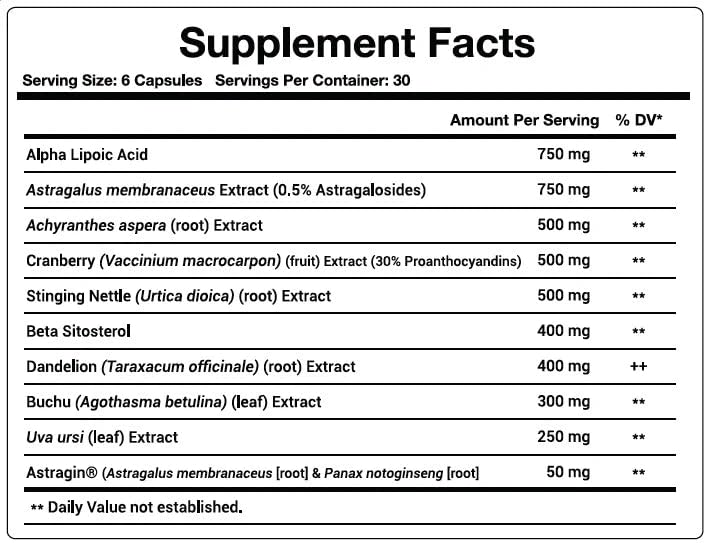 UriZen: etiqueta frontal resalta ingredientes clave para la salud urinaria.