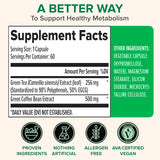 Zenwise Health cafe verde capsulas para metabolismo suave