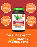 Mejor absorción de Vitamina C con Zenwise Health para uso diario.
