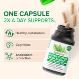 Zenwise Health polyfenoles EGCG antioxidantes naturales para defensa diaria