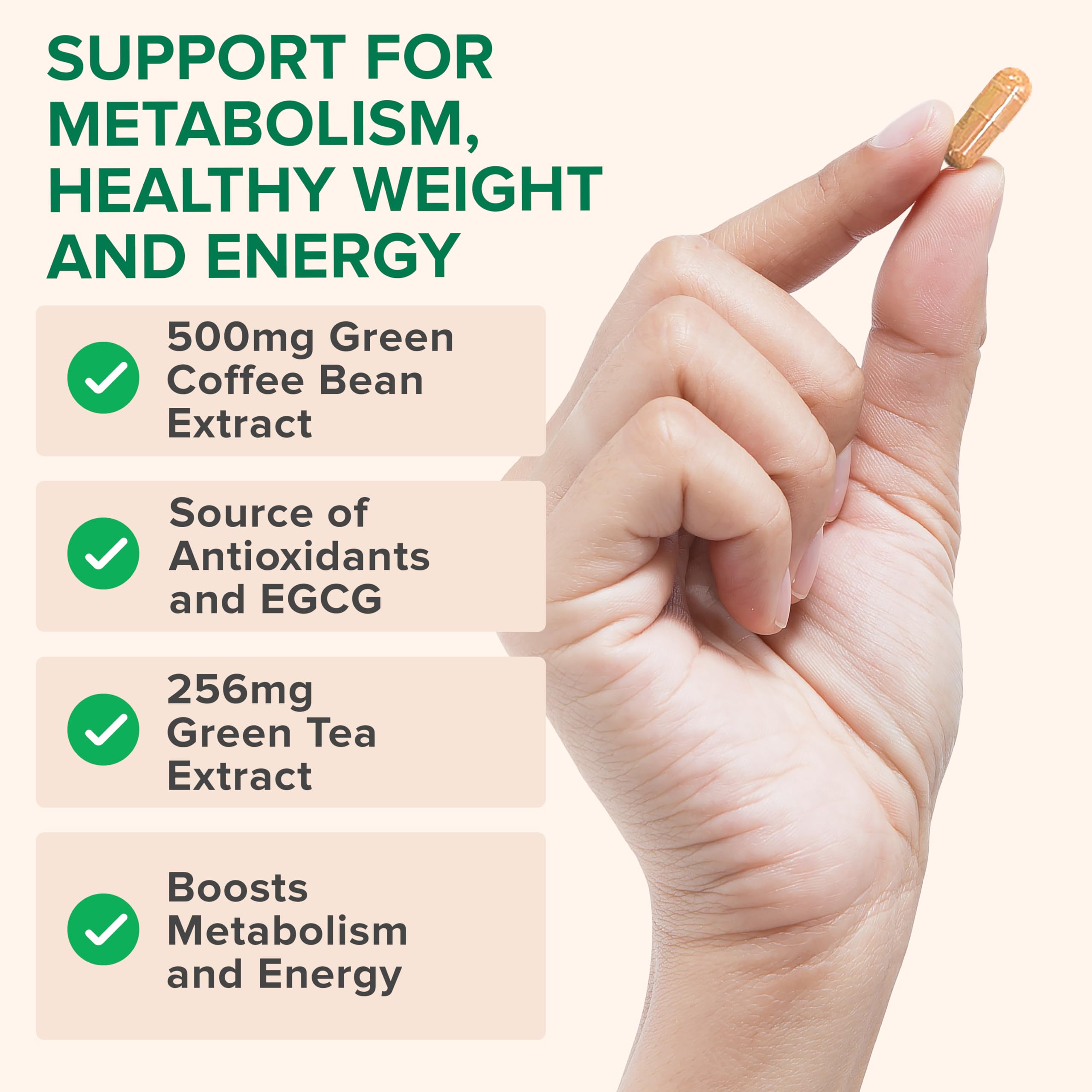 Zenwise Health uso diario capsulas para energia sostenida