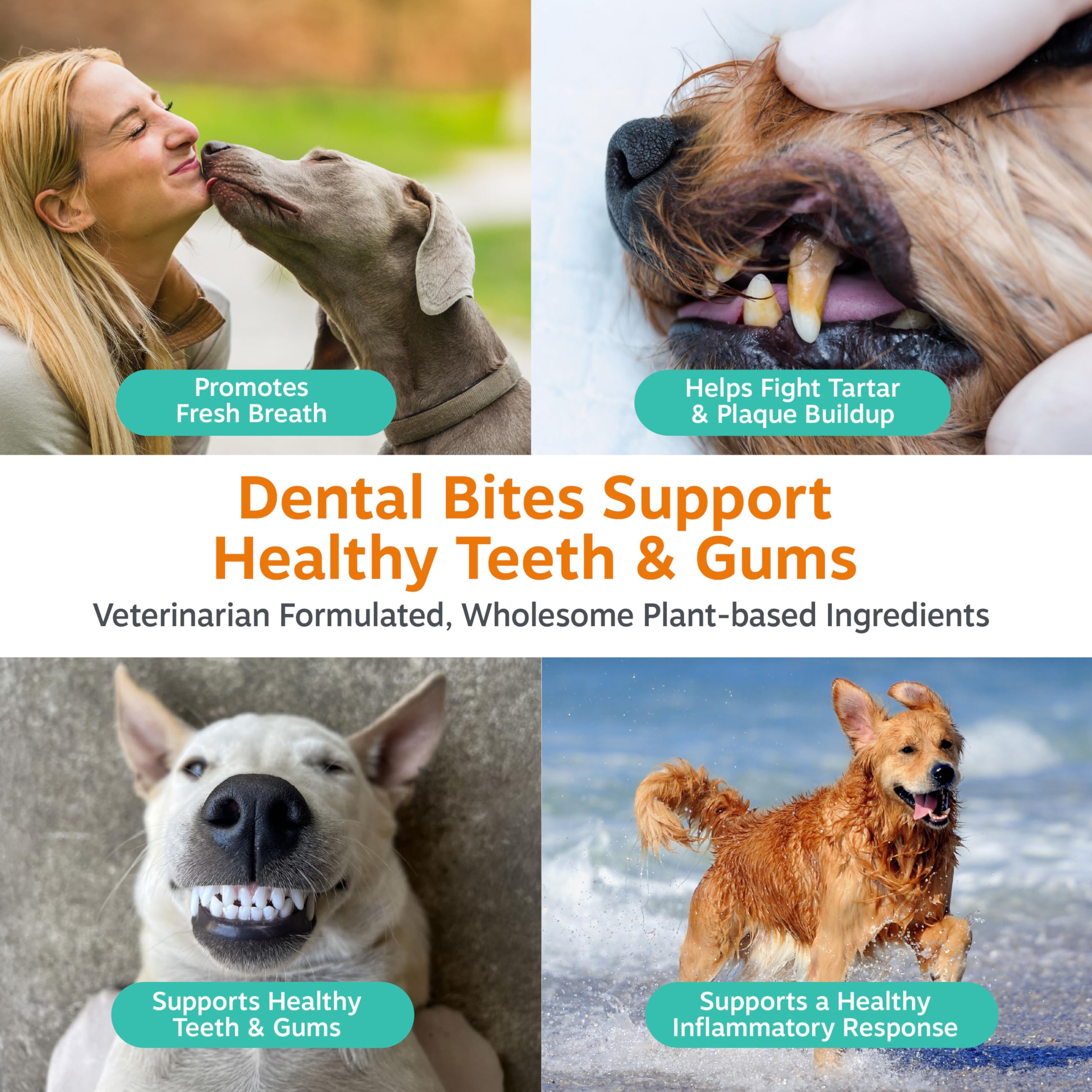 Algas marrones de Zesty Paws para soporte dental y encías sanas.