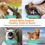 Algas marrones de Zesty Paws para soporte dental y encías sanas.