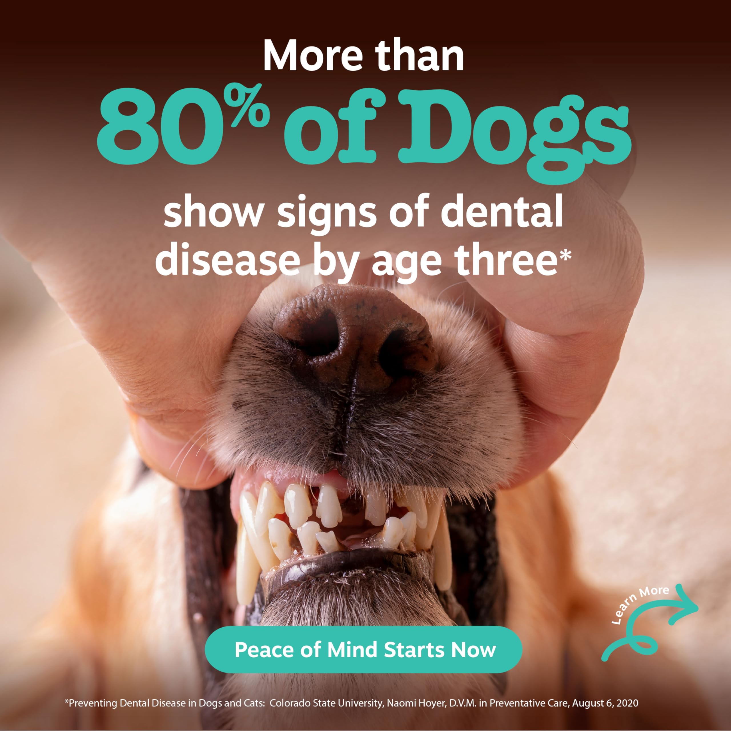 Tratamientos dentales con menta de Zesty Paws para aliento agradable.