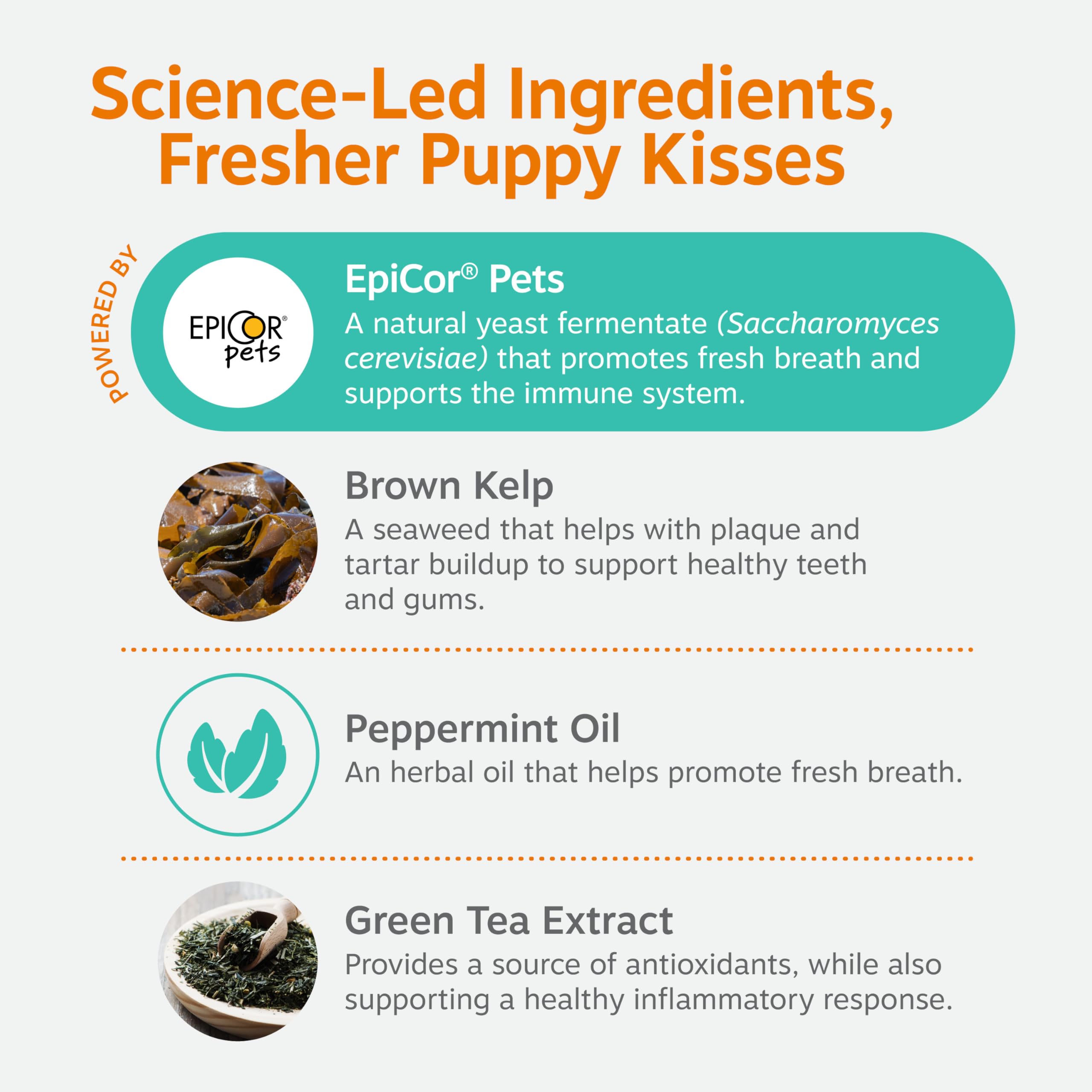Extracto de té verde de Zesty Paws con antioxidantes para la salud bucal.