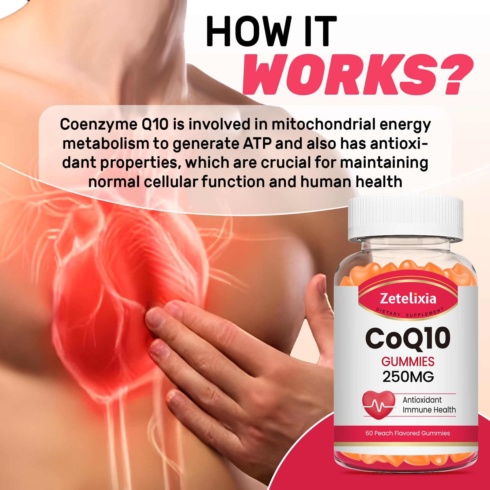 Zetelixia CoQ10 energía celular, apoyo para músculos y actividad diaria.