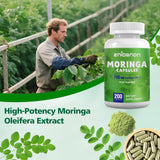 Ingredientes naturales de Zhibenon Moringa, apoyo nutritivo diario.