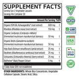 Zhou Nutrition Ashwagandha dosis diaria para energía sostenida