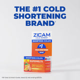Zicam indica dosis cada 3 horas para mantener la nariz despejada.