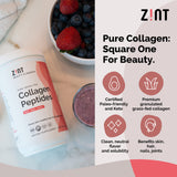 Zint colágeno de pasto, polvo neutro para mezclar en bebidas