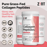 Zint colágeno de pasto, polvo sin sabor para bebidas