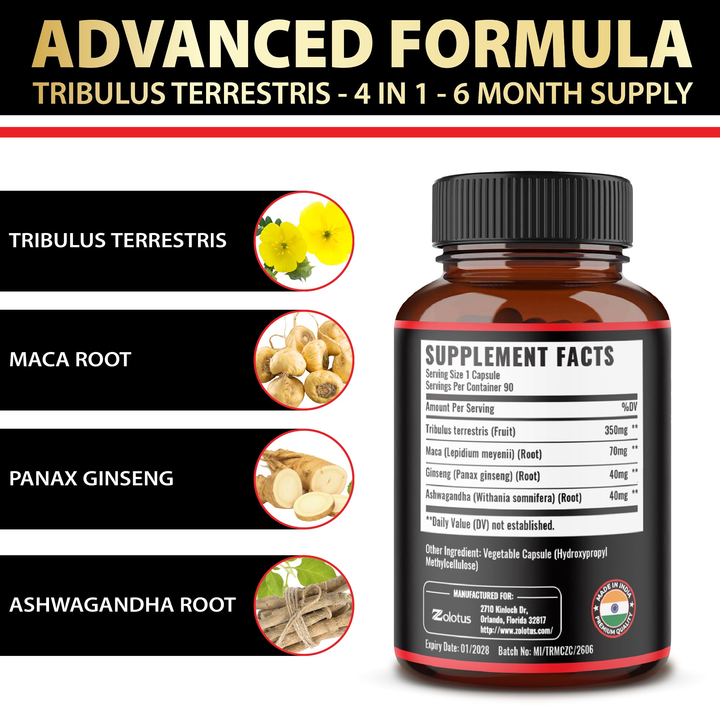 Panax Ginseng Zolotus para enfoque y vitalidad.
