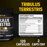 Ginseng Panax en cápsulas Zolotus para energía sostenida