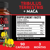 Mezcla de ashwagandha en Zolotus Premium, energía sostenida.