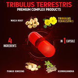 Raíz de Panax Ginseng en Zolotus Premium para enfoque sostenido.