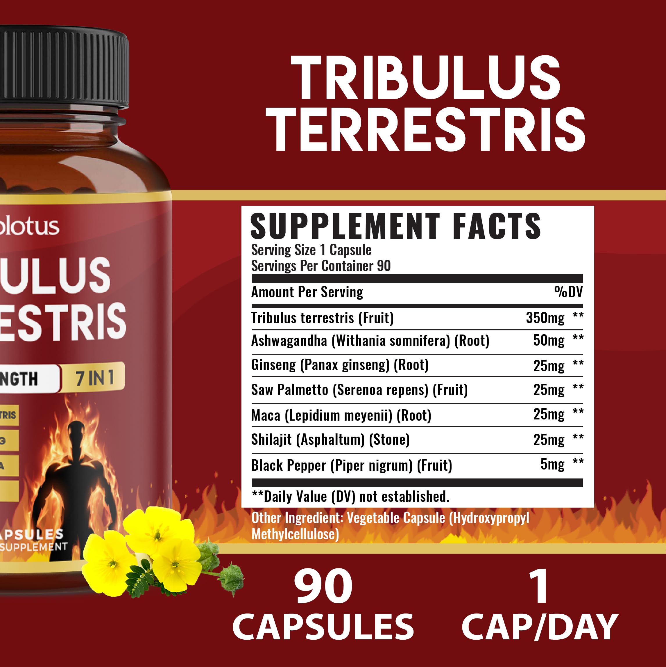 Cápsulas Zolotus Tribulus con Maca para resistencia física.