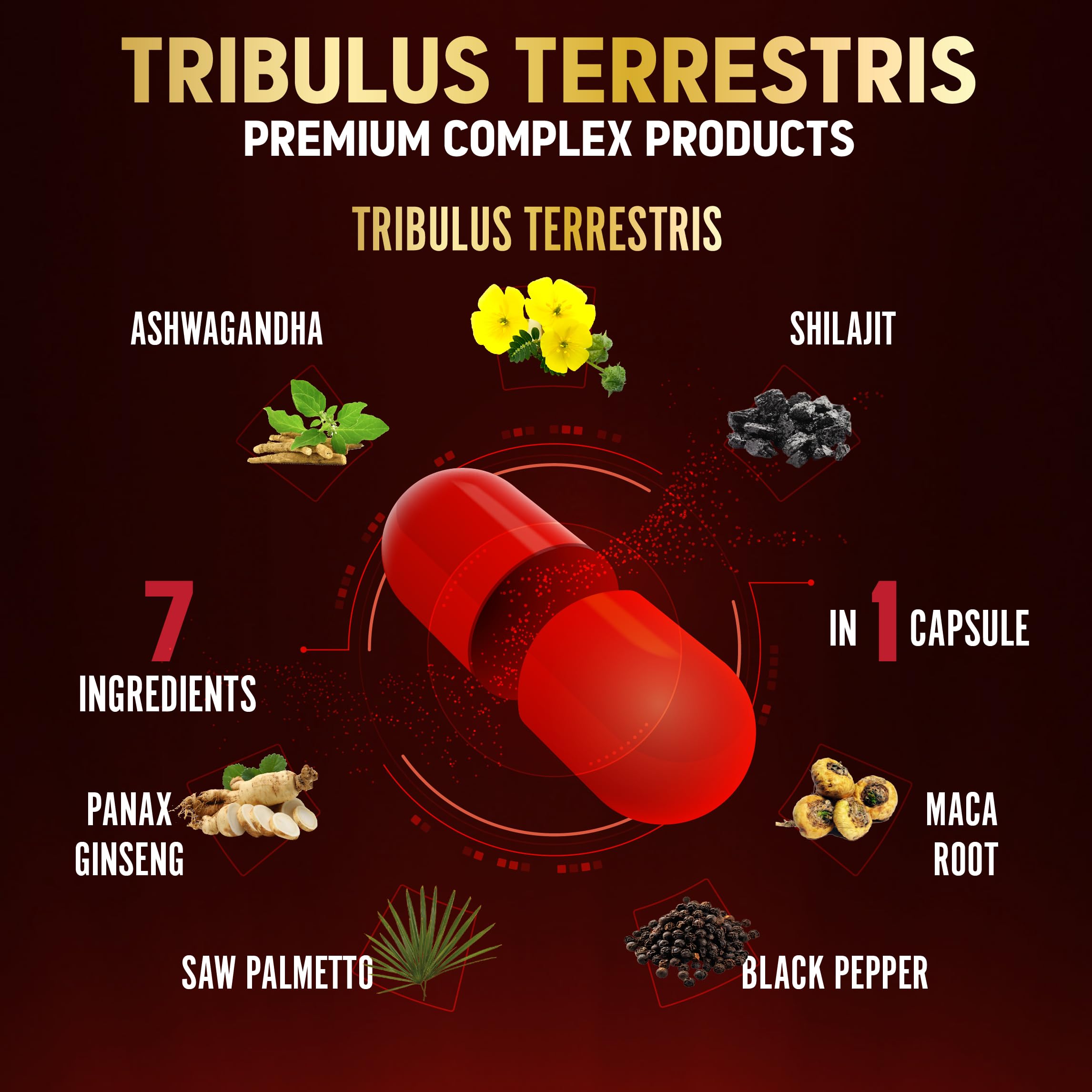 Cápsulas Zolotus Tribulus con Shilajit para nutrientes esenciales.
