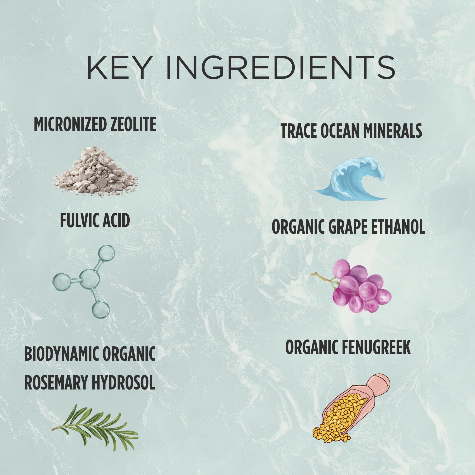 Ingredientes clave de Zuma Nutrition Zeolita Tonico con minerales marinos.