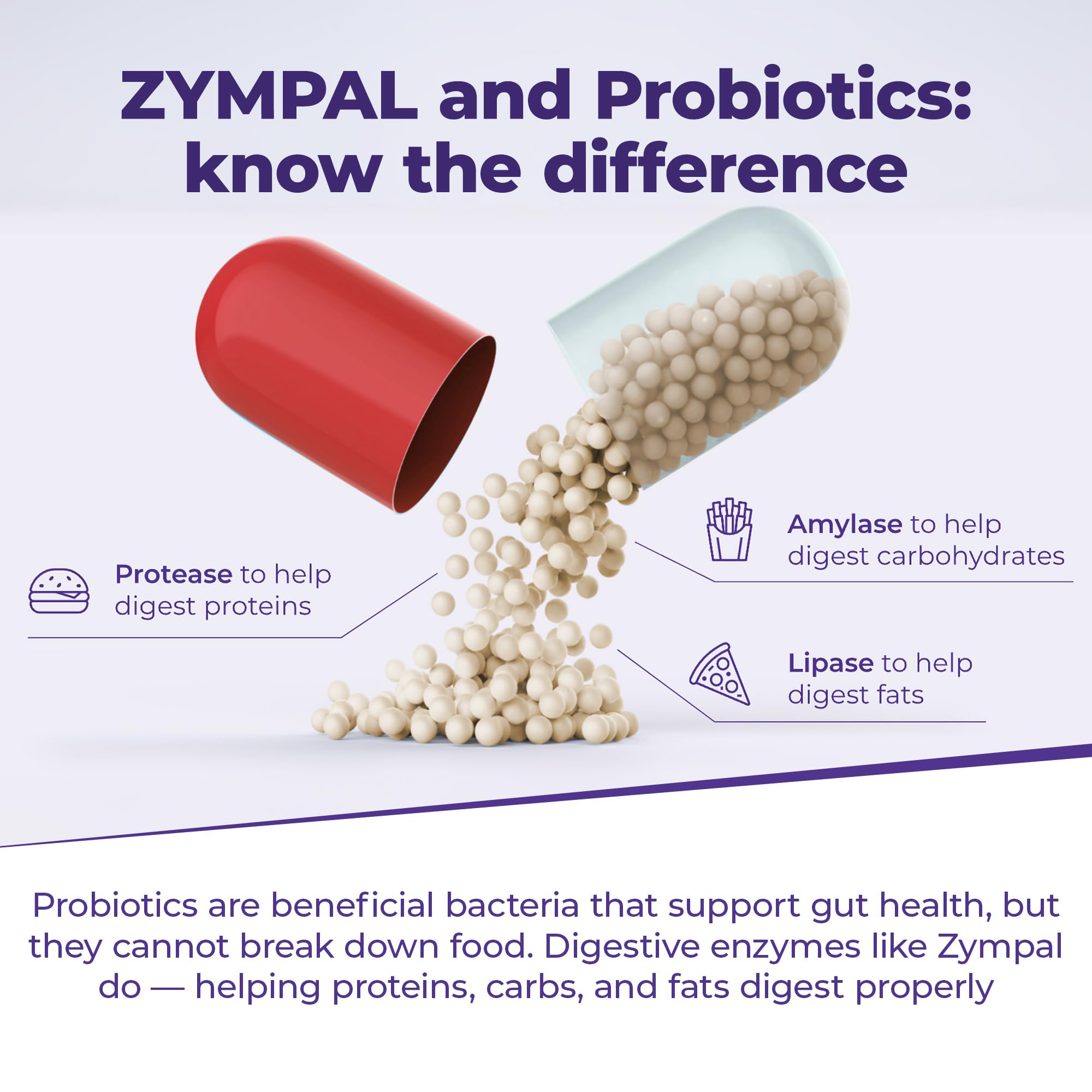 ZYMPAL: microesferas entéricas entregan enzimas al intestino para mejor absorción.
